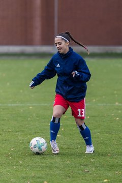 Bild 50 - B-Juniorinnen HSV - VfL Wolfsburg : Ergebnis: 2:1